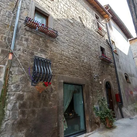 La Tana Del Bruco Guest house